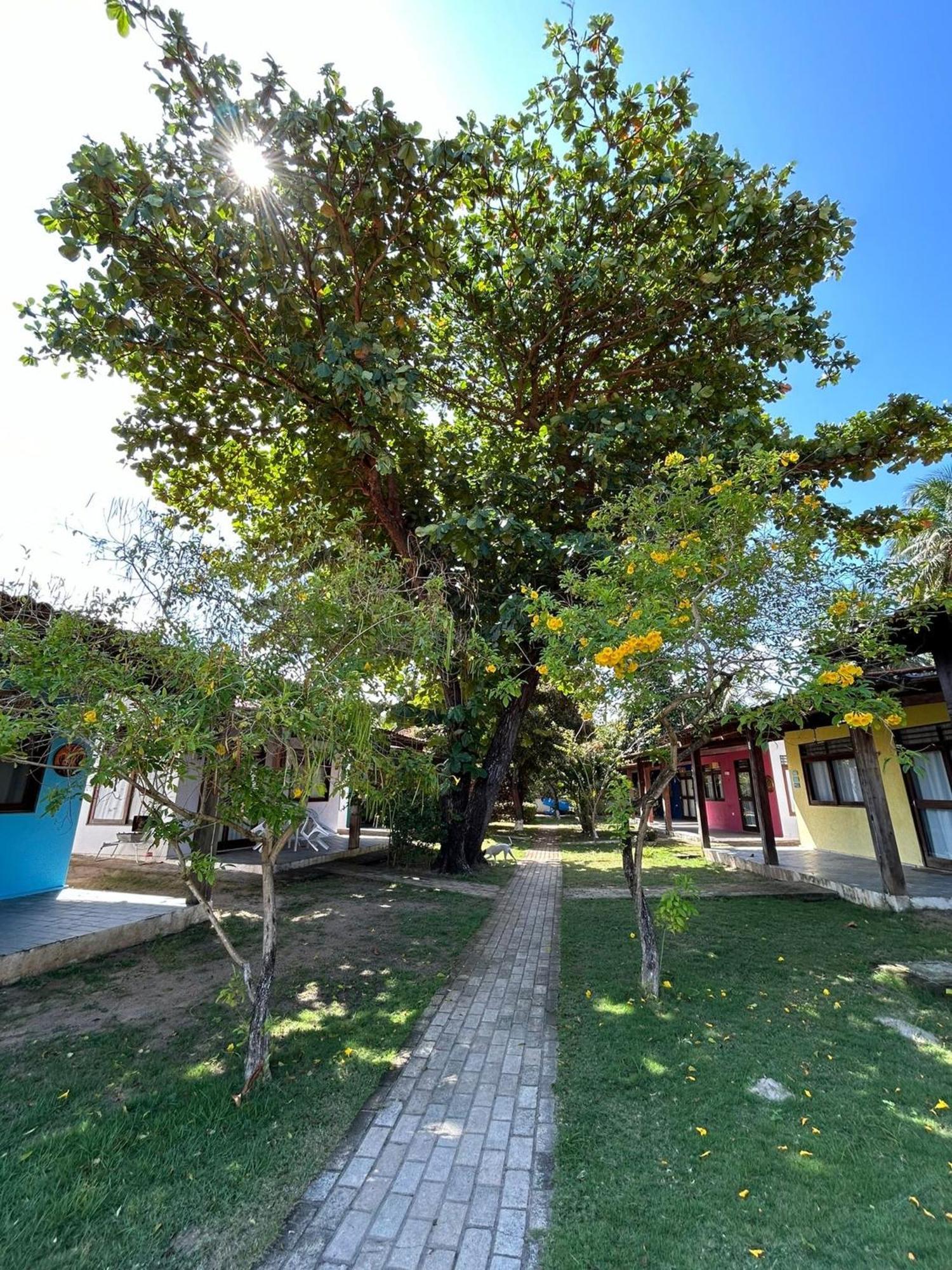 Chales Praias Brasileiras Maragogi Exterior photo